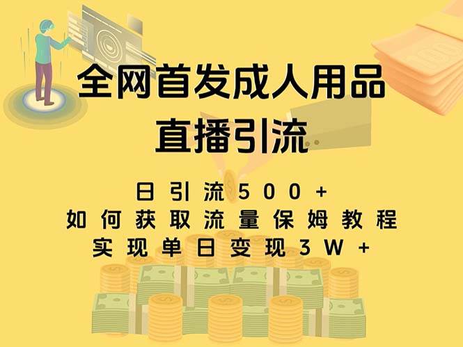 最新全网独创首发，成人用品直播引流获客暴力玩法，单日变现3w保姆级教程-南风轻创