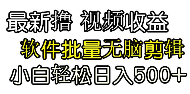 发视频撸收益，软件无脑批量剪辑，第一天发第二天就有钱-南风轻创