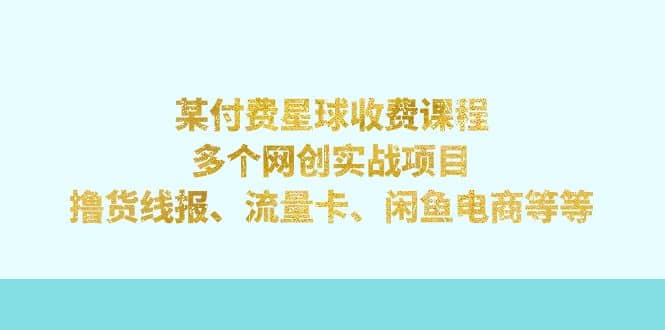 某付费星球课程：多个网创实战项目，撸货线报、流量卡、闲鱼电商等等-南风轻创