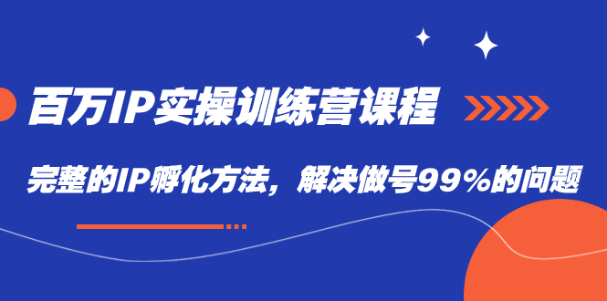 百万IP实战训练营课程，完整的IP孵化方法，解决做号99%的问题-南风轻创