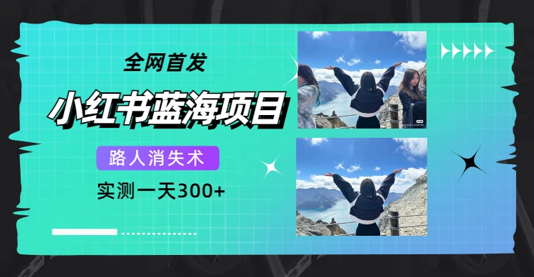 全网首发，小红书蓝海项目，路人消失术，实测一天300+（教程+工具）-南风轻创