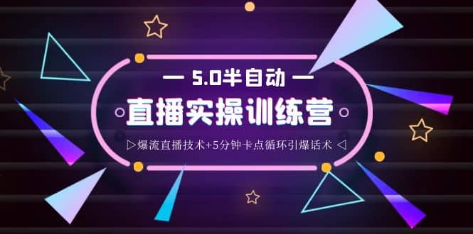 蚂蚁·5.0半自动直播2345打法，半自动爆流直播技术+5分钟卡点循环引爆话术-南风轻创