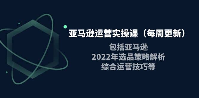 亚马逊运营实操课（每周更新）包括亚马逊2022选品策略解析，综合运营技巧等-南风轻创