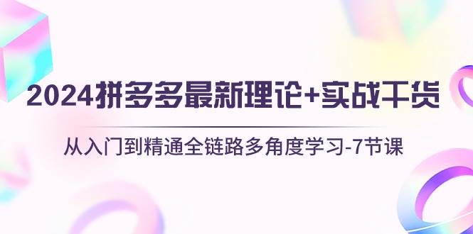 2024拼多多 最新理论+实战干货，从入门到精通全链路多角度学习-7节课-南风轻创