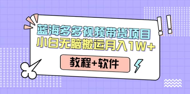 人人都能操作的蓝海多多视频带货项目 小白无脑搬运（教程+软件）-南风轻创