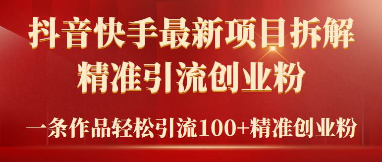 2024年抖音快手最新项目拆解视频引流创业粉，一天轻松引流精准创业粉100+-南风轻创