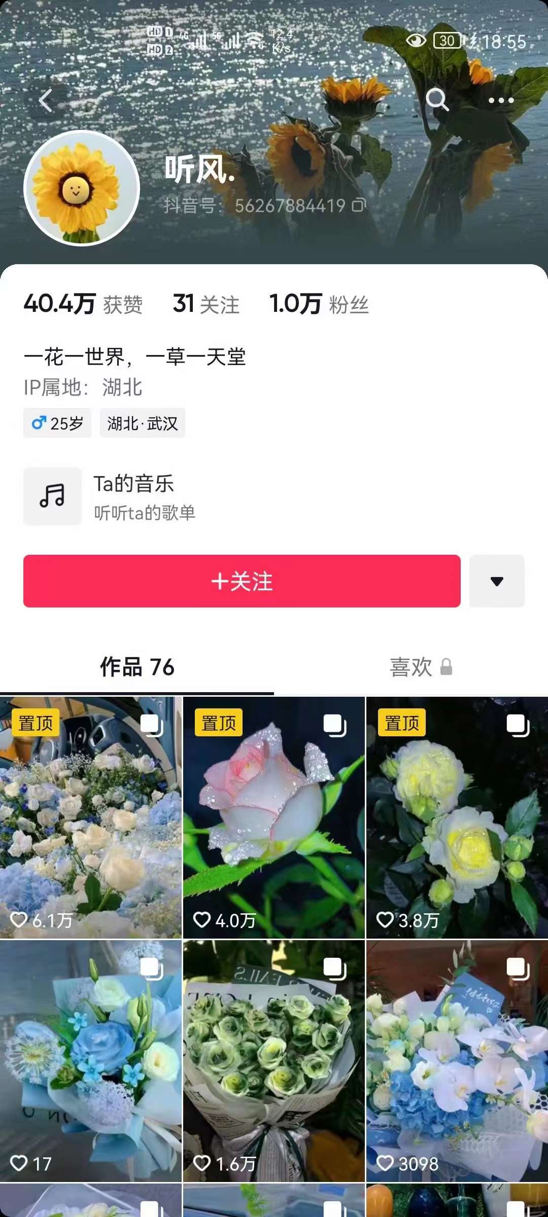 图片[2]-抖音壁纸变现项目：实战日入380+发布壁纸素材获取收益！-南风轻创