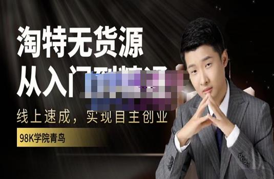 98k学院的淘特无货源线上速成课，从入门到精通，让你最小投入，最高回报-南风轻创