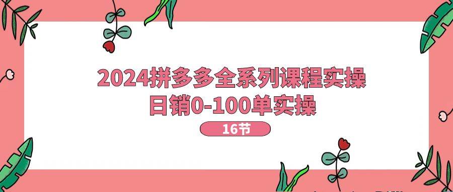 2024拼多多全系列课程实操，日销0-100单实操【16节课】-南风轻创