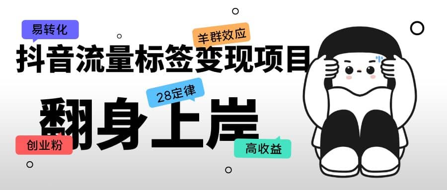抖音流量标签变现项目，抖音创业粉轻松转化，单价高收益简单-南风轻创