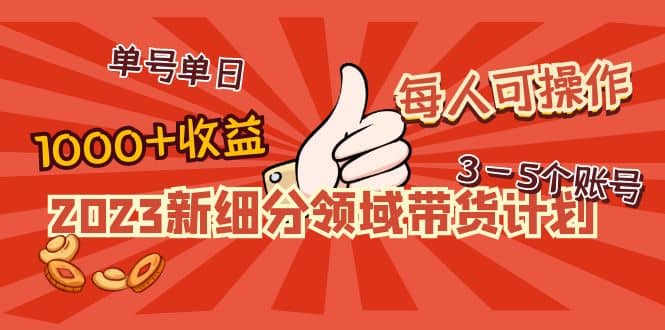2023新细分领域带货计划：单号单日1000+收益不难，每人可操作3-5个账号-南风轻创