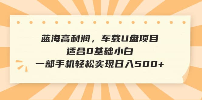 蓝海高利润，车载U盘项目，适合0基础小白，一部手机轻松实现日入500+-南风轻创
