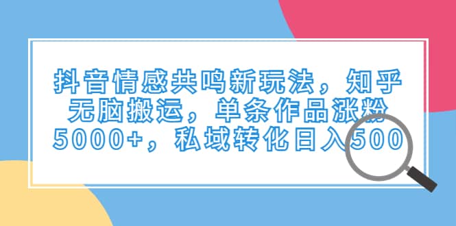 抖音情感共鸣新玩法，知乎无脑搬运，单条作品涨粉5000+，私域转化日入500-南风轻创