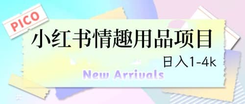 最新小红书情趣用品项目，日入1-4k-南风轻创