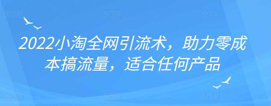 2022年小淘全网引流术，助力零成本搞流量，适合任何产品-南风轻创