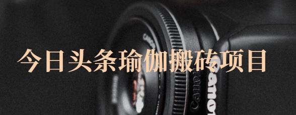 猎人社区·今日头条瑜伽搬砖项目，单号一天几十收入，可以批量操作！-南风轻创