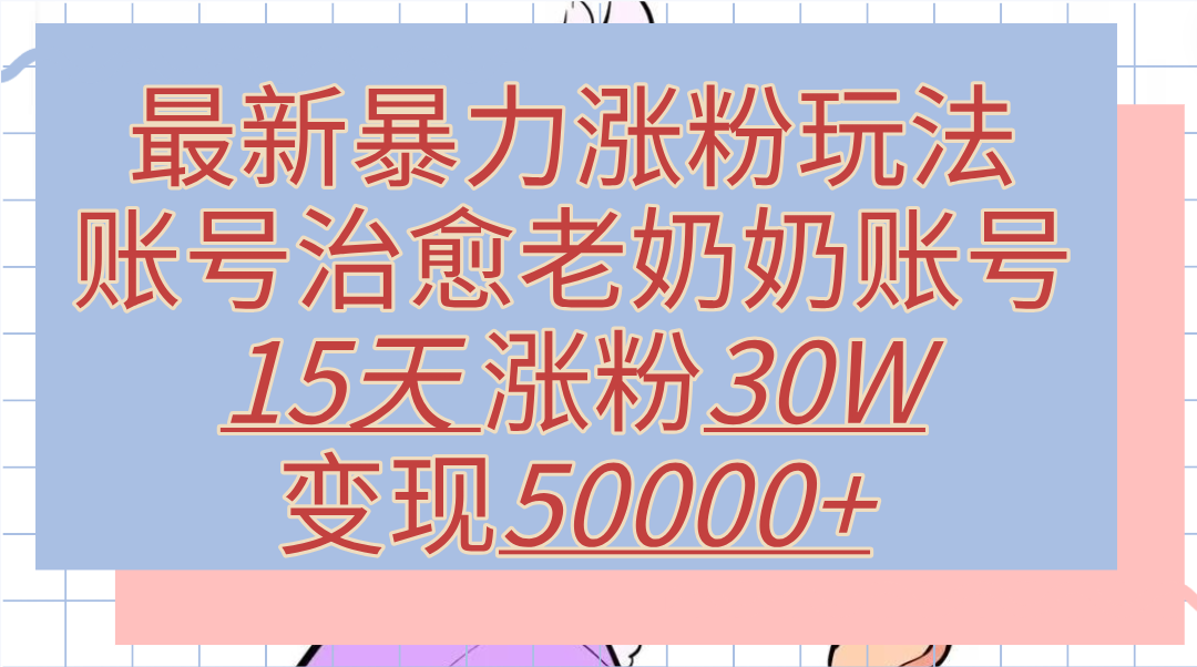 最新暴力涨粉玩法，治愈老奶奶账号，15天涨粉30W，变现50000+【揭秘】-南风轻创