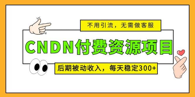 CNDN付费资源项目，不用引流，无需做客服，后期被动收入-南风轻创