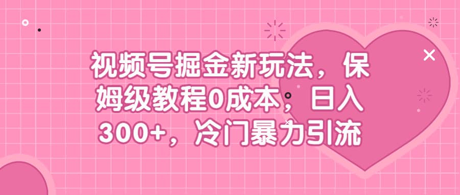 视频号掘金新玩法，保姆级教程0成本，日入300+，冷门暴力引流-南风轻创