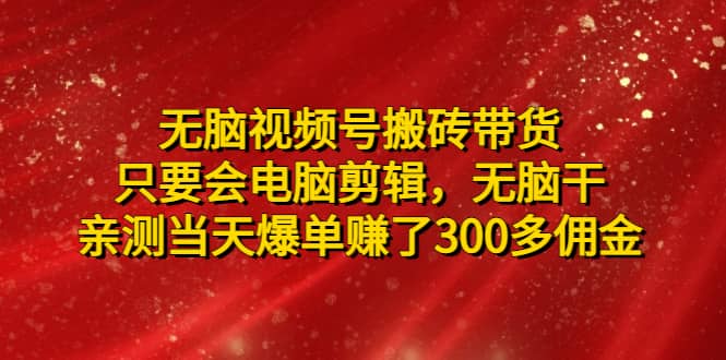 无脑视频号搬砖带货，只要会电脑剪辑，无脑干-南风轻创