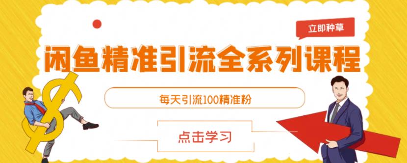 闲鱼精准引流全系列课程，每天引流100精准粉【视频课程】-南风轻创