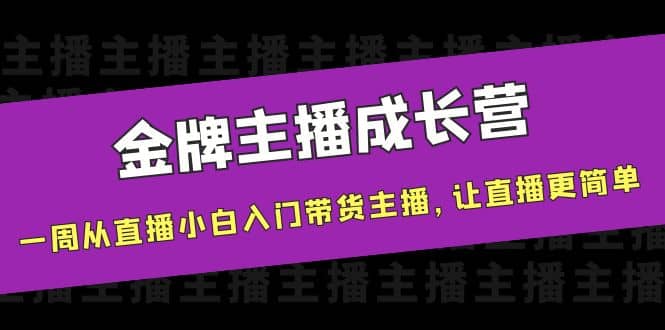金牌主播成长营，一周从直播小白入门带货主播，让直播更简单-南风轻创
