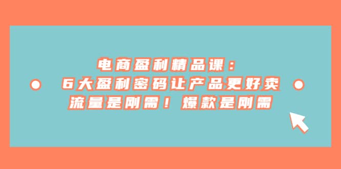 电商 盈利精品课：6大盈利 密码让产品更好卖，流量是刚需！爆款是刚需-南风轻创