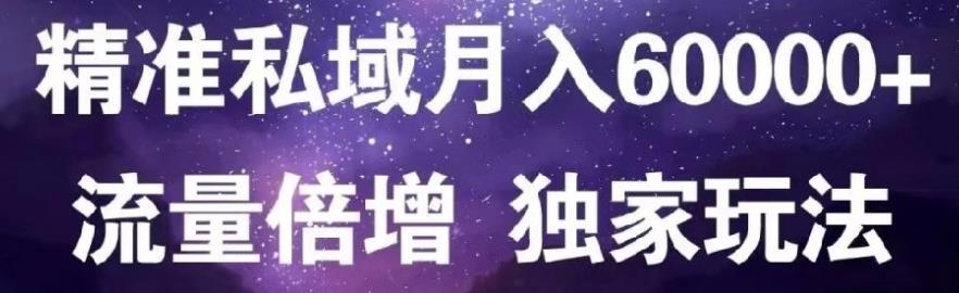 原力网赚精准私域月入60000+,流量倍增独家玩法-南风轻创