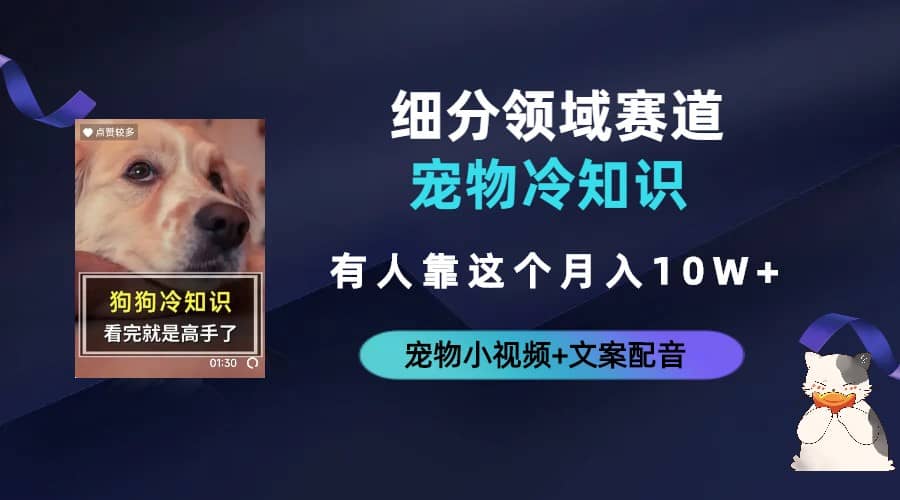不起眼的抖音细分赛道-宠物冷知识，一段宠物视频配文案，有人靠这个月入10w-南风轻创