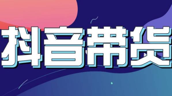 抖音直播带货入门必学教程，教快速上手抖音直播带货-南风轻创