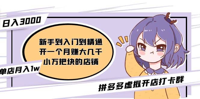 拼多多虚拟开店打卡群：新手到入门到精通-南风轻创