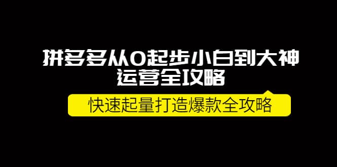 拼多多从0起步小白到大神运营全攻略-南风轻创