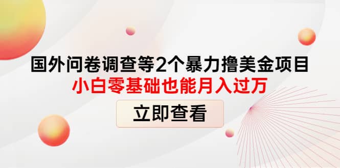 国外问卷调查等2个暴力撸美元项目，小白零基础也能月入过万-南风轻创