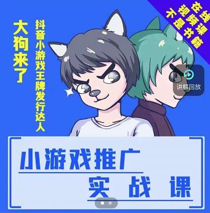 大狗来了：小游戏推广实战课，带你搭建一个游戏推广变现账号-南风轻创