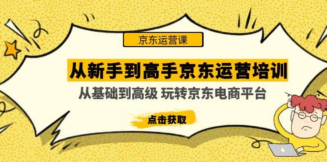 从新手到高手京东运营培训：从基础到高级 玩转京东电商平台(无水印)-南风轻创