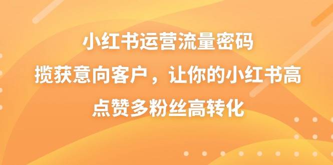 小红书运营流量密码，揽获意向客户，让你的小红书高点赞多粉丝高转化-南风轻创