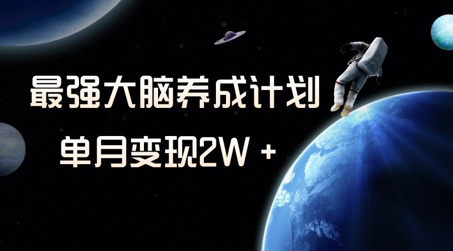 冷门虚拟项目，最强大脑养成计划，一个月变现2W＋-南风轻创