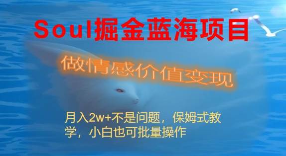 Soul掘金蓝海项目细分赛道，做情感价值变现，月入2w+不是问题-南风轻创