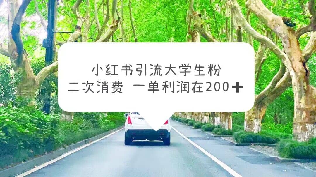 小红书引流大学生粉，变现项目，一单利润在200+（教程+资源）-南风轻创