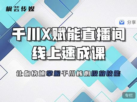 枫芸传媒-线上千川提升课，提升千川认知，提升千川投放效果-南风轻创