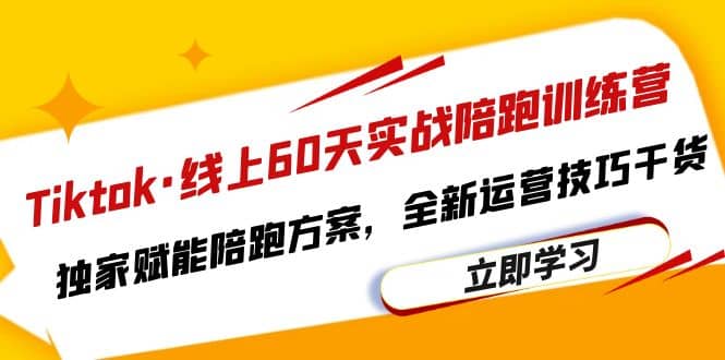 Tiktok·线上60天实战陪跑训练营，独家赋能陪跑方案，全新运营技巧干货-南风轻创