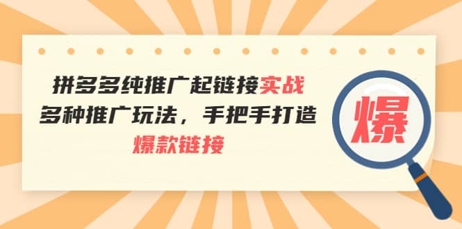 拼多多纯推广起链接实战：多种推广玩法，手把手打造爆款链接-南风轻创