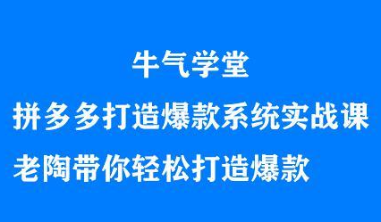 牛气学堂拼多多打造爆款系统实战课，老陶带你轻松打造爆款-南风轻创