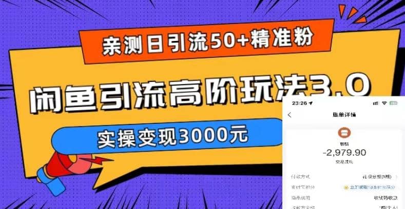 实测日引50+精准粉，闲鱼引流高阶玩法3.0，实操变现3000元-南风轻创