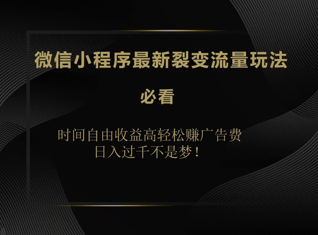 微信小程序最新裂变流量玩法，时间自由收益高轻松赚广告费，日入200-500+-南风轻创
