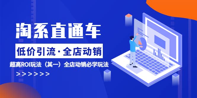 淘系直通车《低价·引流 全店·动销》超高ROI玩法（其一）全店动销必学玩法-南风轻创