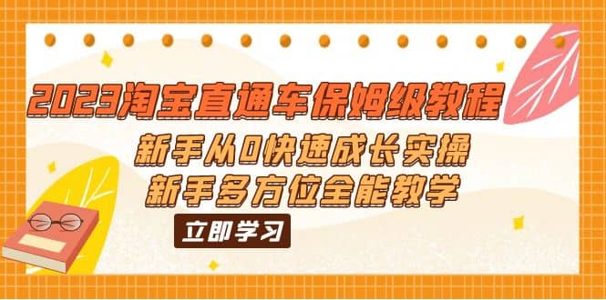 2023淘宝直通车保姆级教程：新手从0快速成长实操，新手多方位全能教学-南风轻创