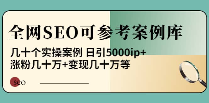 《全网SEO可参考案例库》几十个实操案例-南风轻创
