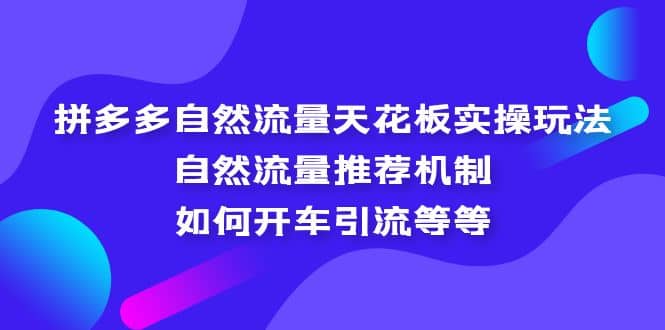 拼多多自然流量天花板实操玩法：自然流量推荐机制，如何开车引流等等-南风轻创