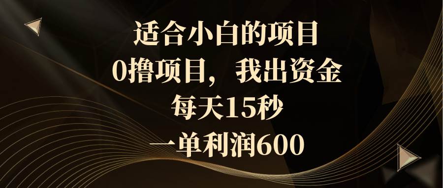 适合小白的项目，0撸项目，我出资金，每天15秒，一单利润600-南风轻创